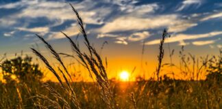FUW Launches Call For Action On Carbon Trading