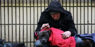 LGA responds to Shelter research showing 274,000 now homeless