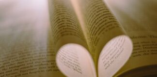 Guide to write a poetry analysis essay with examples