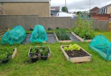 HOME GARDENING PROJECT FUNDING SUCCESS