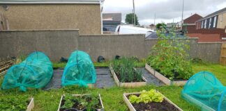 HOME GARDENING PROJECT FUNDING SUCCESS