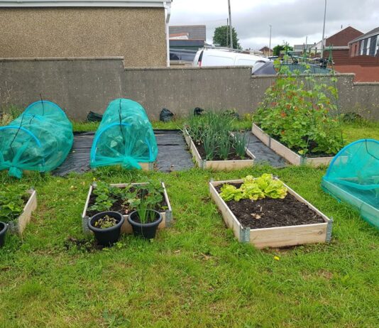 HOME GARDENING PROJECT FUNDING SUCCESS