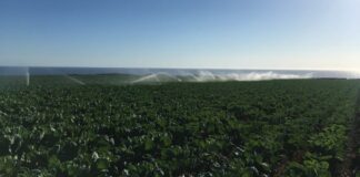 Water as a precious commodity: competition for natural resources prevents sustainable development and excludes entire communities from water resources