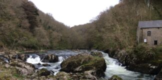 New Board established to improve water quality in the river Teifi