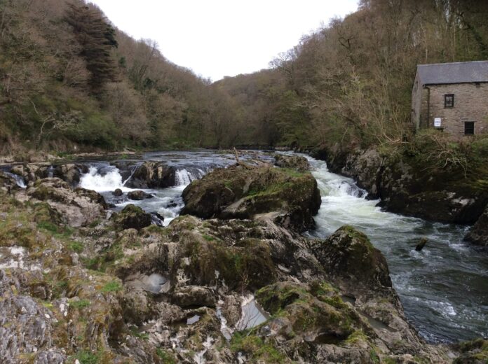 Afon-Teifi-River-1-scaled-40