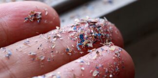 Bluewater says its time to double-down on tackling microplastics as new study finds the particles in human blood