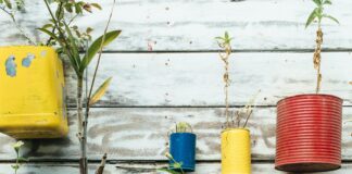 2022 Study Names Newport Wales’ ‘Upcycling’ Capital