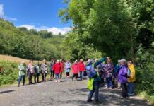 Taith natur yn codi arian ar gyfer Apêl Cemo Bronglais