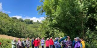 Taith natur yn codi arian ar gyfer Apêl Cemo Bronglais
