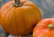 Nutritionist reveals top ways to try pumpkin for Halloween health-kick