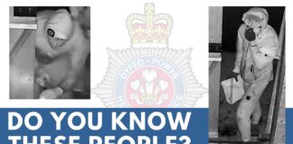 Police investigate Burglary in Ponthenri