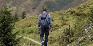 Walking and Cycling Tours That Don’t Feel Like Exercise