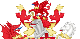 Ymunwch â Grŵp Rhanddeiliaid Bwrdd Rheoli Maetholion Gorllewin Cymru