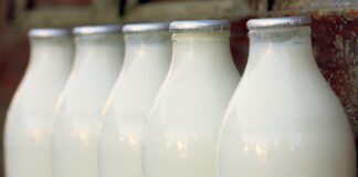 FUW Welcomes The Announcement Of £17 Million Pembrokeshire Creamery Ltd Investment