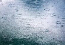 RAIN CHECK: Cardiff predicted to be the ‘April showers hotspot’ of Wales in 2023