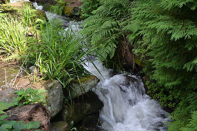 A small waterfall in a forestDescription automatically generated with low confidence A small waterfall in a forestDescription automatically generated with low confidence
