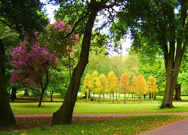 A park with trees and grassDescription automatically generated with low confidence A park with trees and grassDescription automatically generated with low confidence