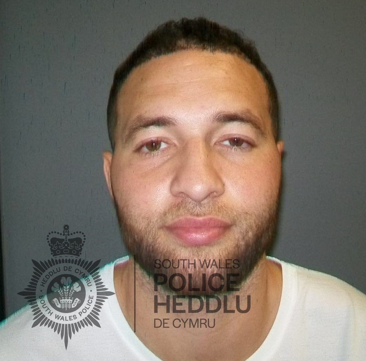 Pierre Lima Custody.jpg