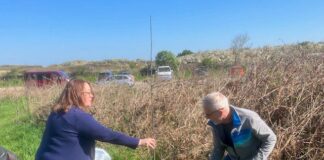 Prosiect plannu coed coffa yn anelu i roi mwy o gyfleoedd i addysg awyr agored a rhoi hwb i fioamrywiaeth
