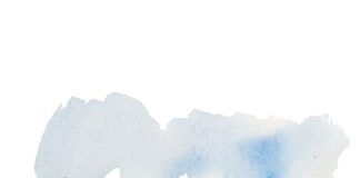 Quentin Blake art draws people to WWT Llanelli Wetland Centre