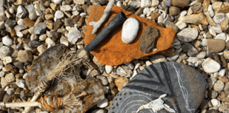 The Portalis visitor experience at Ceredigion Museum