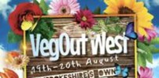 New music festival comes to Pembrokeshire this year