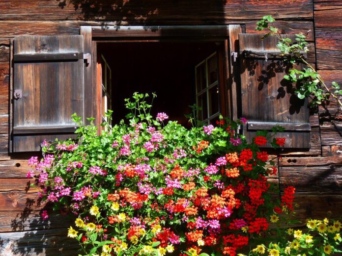 window-g5342aa59a_1280