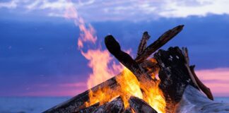 GO ECO-FRIENDLY: KNOW WHY FIREWOOD IS A RENEWABLE ENERGY SOURCE