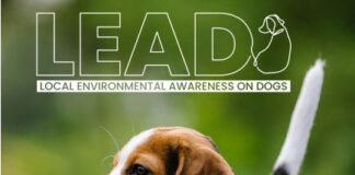 Partners LEAD the way to encourage responsible dog ownership