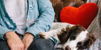 ‘Remember, remember early October’ Dogs Trust Bridgend and Dogs Trust Cardiff urges dog owners to prep ahead of firework season as nearly half of UK dogs are affected by fireworks