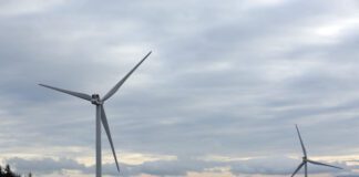 Formal Public Consultation launched for up to 60 MW Alwen Forest Wind Farm and Grid Connection