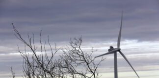 Lansio Ymgynghoriad Cyhoeddus Ffurfiol ar gyfer Fferm Wynt a Chysylltiad Grid Coedwig Alwen hyd at 60 MW