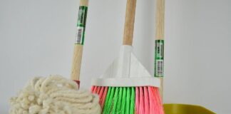 How to Keep Your Carpets Clean and the Planet Happy