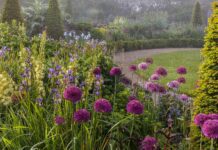 Aberglasney ‘May Morning’ photograph rewarded in International Garden Photographer of the year competition