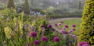 Aberglasney ‘May Morning’ photograph rewarded in International Garden Photographer of the year competition