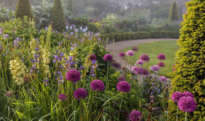 May Morning Nigel McCall image upper walled garden