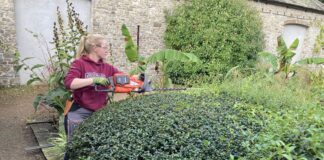Opportunity to study at Aberglasney with the expert gardening team
