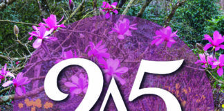 Aberglasney celebrates 25th anniversary of opening to the public with an exciting array of events