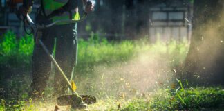 Research Shows Gardening Improves Strength, Balance, & Mental Health In Older Adults