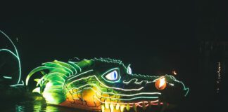 ‘Anadl Y Ddraig – The Dragon’s Breath’ – a spectacular new event coming to The National Botanic Garden of Wales this October