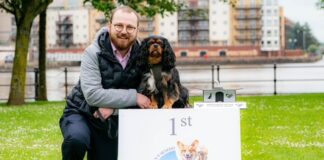 POLITICAL CANINE CANDIDATE COCO IS CROWNED SENEDD DOG OF THE YEAR