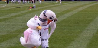 Swansea City Mascot Named Most Memorable Globally