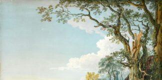 Top Five Tips To Start Oil Painting