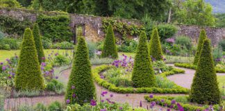 Aberglasney Gardens delighted to win 2024 Tripadvisor Travellers’ Choice Award
