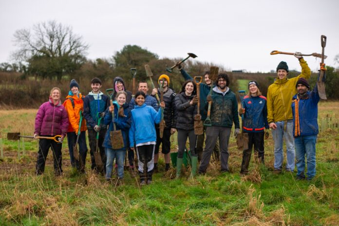 Tree planting in Swansea woodland - volunteers led by Swansea University Tree Society (Credit Swansea University)