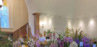 Aberglasney Food & Music Fair combines with Welsh Orchid Festival this September