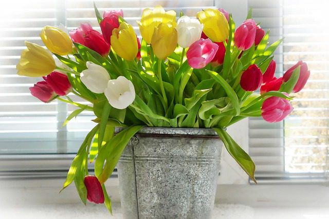 vase-3204337_640