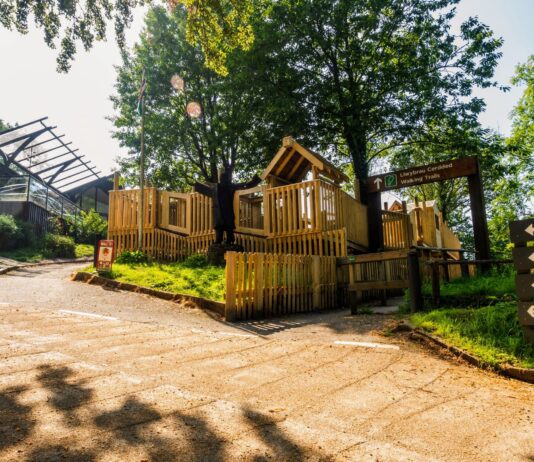 Come on up! Afan Forest Park Visitor Centre is open for business.