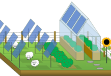 New research from Swansea University shines a light on how solar power and farming can coexist