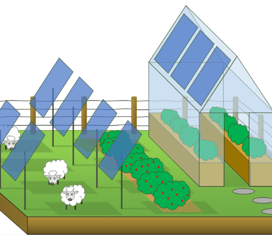 New research from Swansea University shines a light on how solar power and farming can coexist